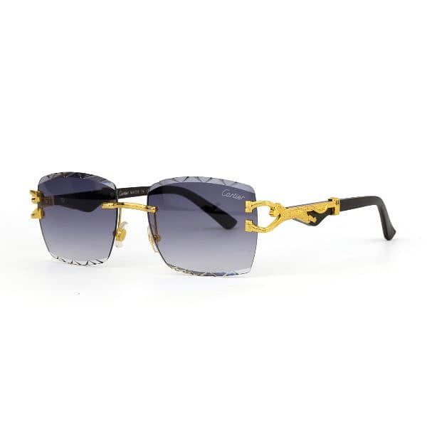 Fashion Sunglasses 6