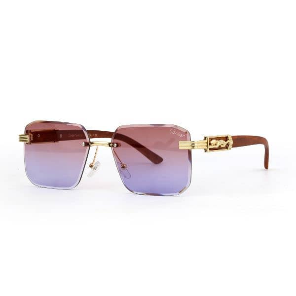 Fashion Sunglasses 7