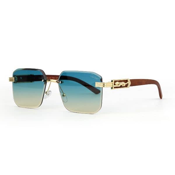 Fashion Sunglasses 8