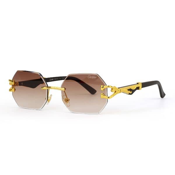 Fashion Sunglasses 12