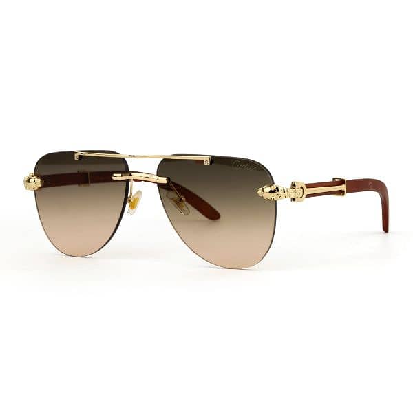 Fashion Sunglasses 19