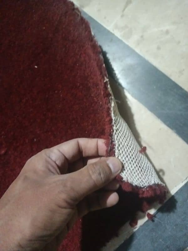 Mahroon carpet 0