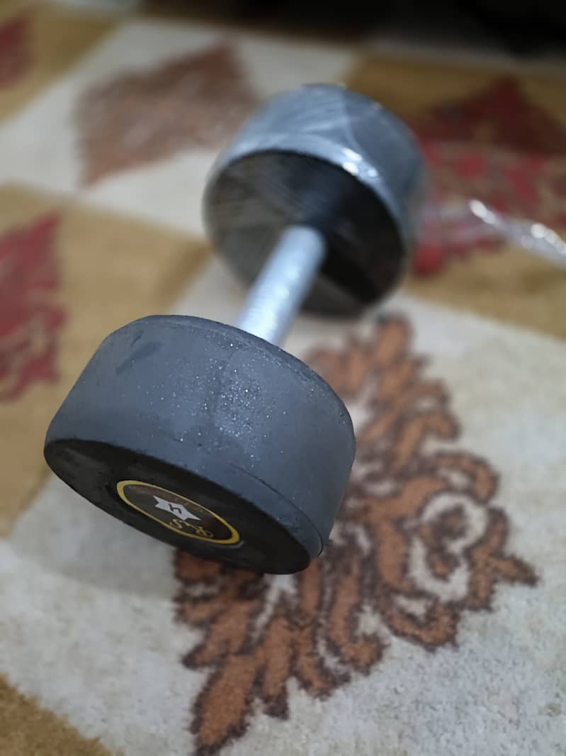 4 kg 2 piece dumbbell 0