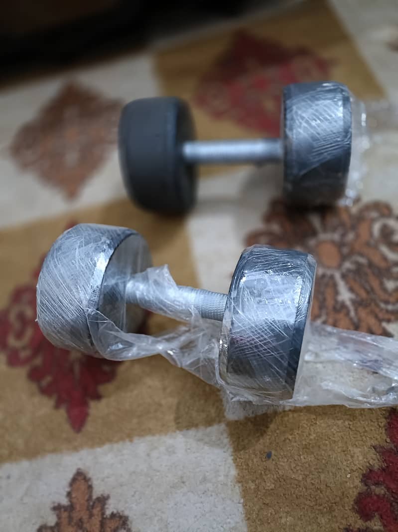 4 kg 2 piece dumbbell 1