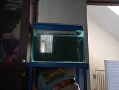 fish equrium tank for sale without table