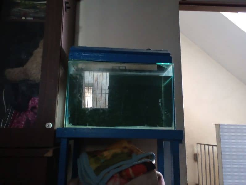 fish equrium tank for sale without table 0