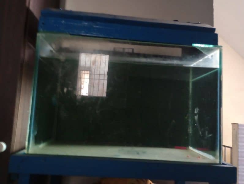 fish equrium tank for sale without table 1