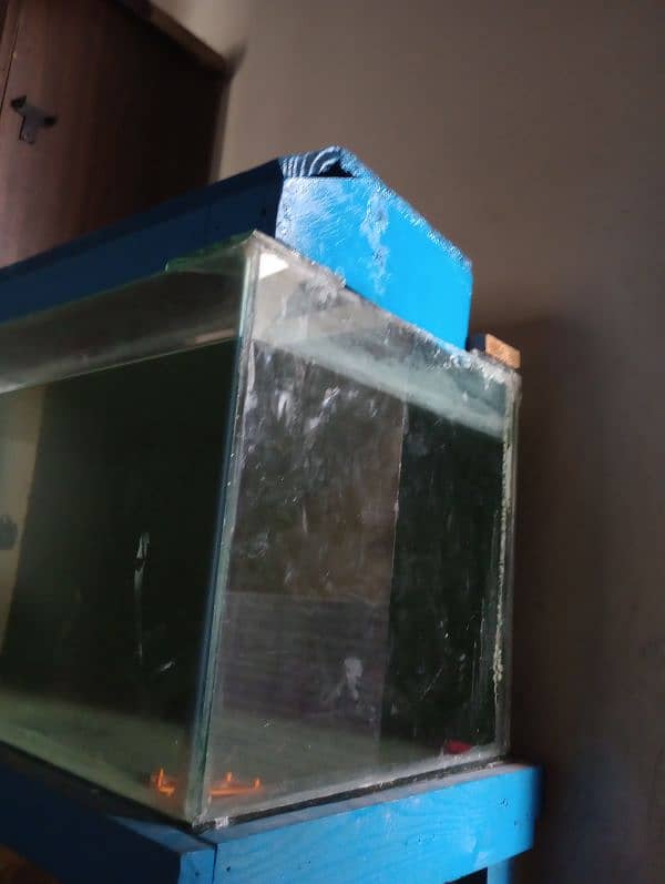 fish equrium tank for sale without table 2