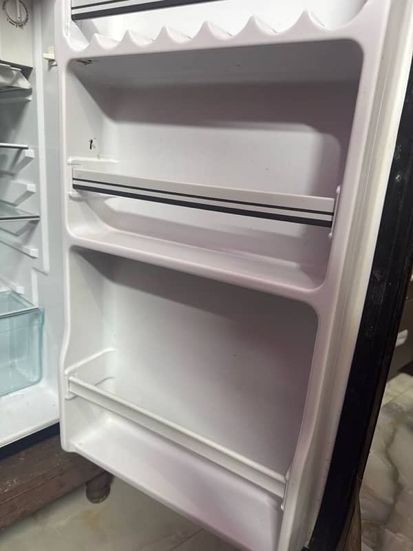 Conti Italy fridge 2