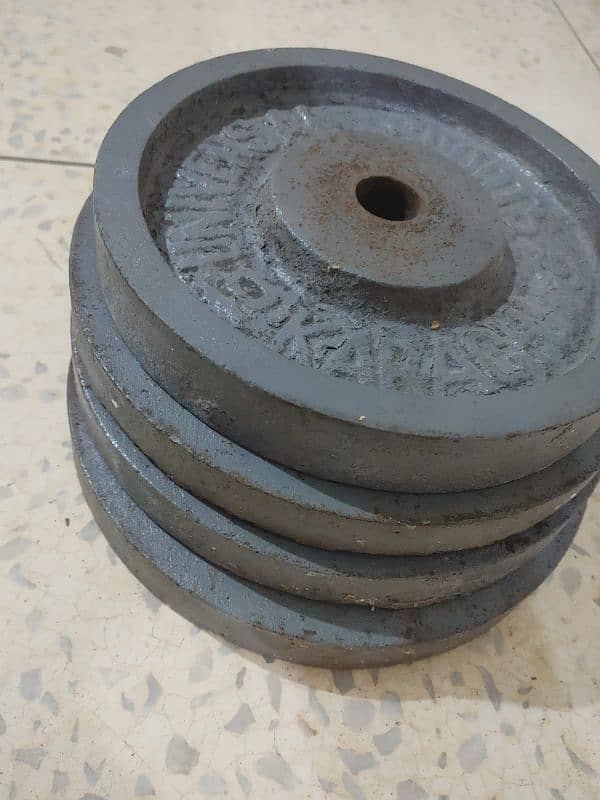 40 kg weight plates gym 0