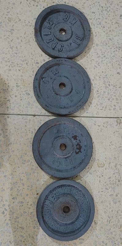 40 kg weight plates gym 1