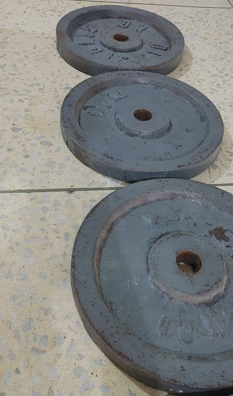 40 kg weight plates gym 3