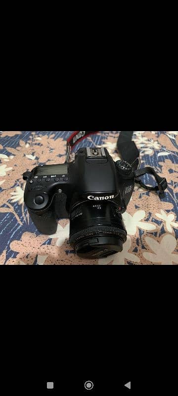 canon 60 3