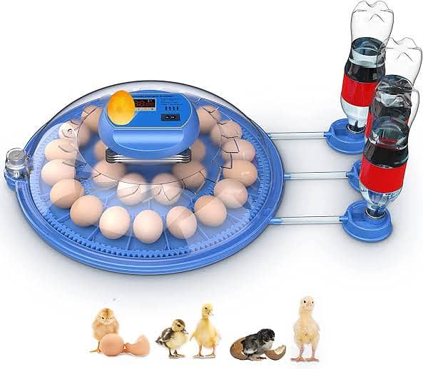 All Types of Imported iNcubators Available 6 eggs - 528 eggs 3