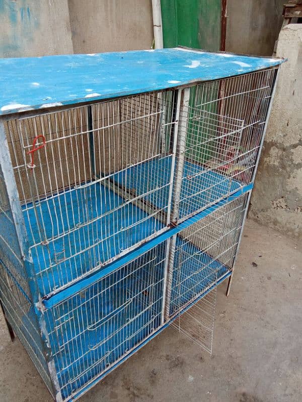 Birds Cage 1