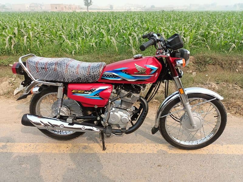 honda 125 all Punjab number 2024/2023 0