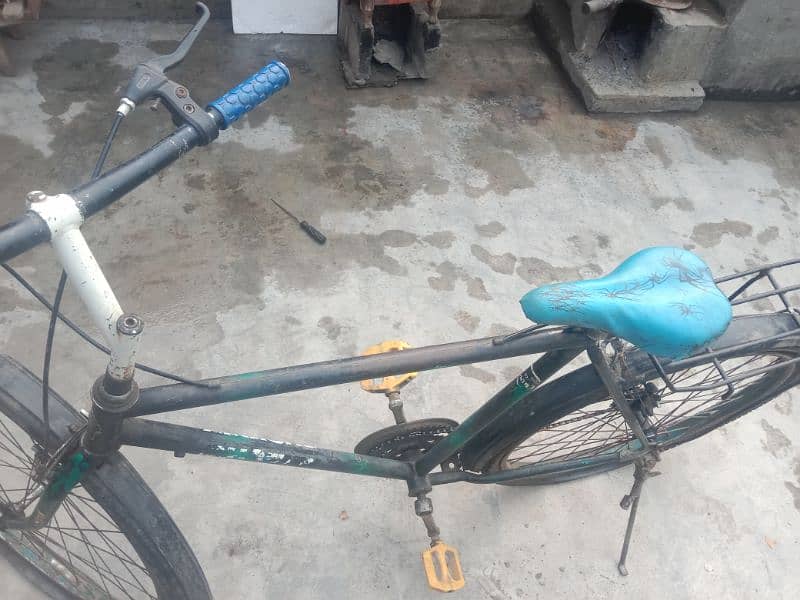 Pheonex Bicycle Urgent For Sale 0