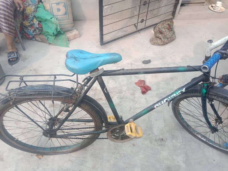 Pheonex Bicycle Urgent For Sale 1