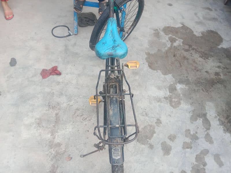 Pheonex Bicycle Urgent For Sale 2