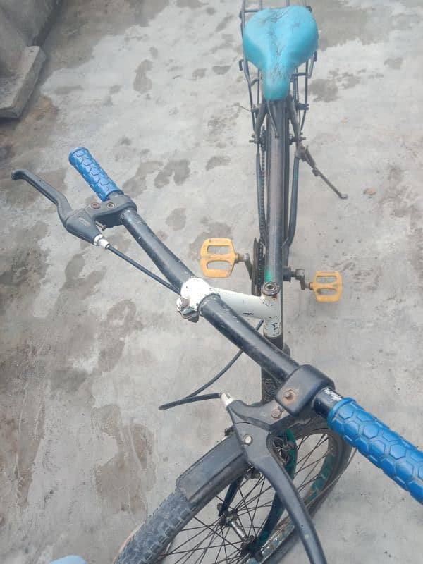 Pheonex Bicycle Urgent For Sale 3