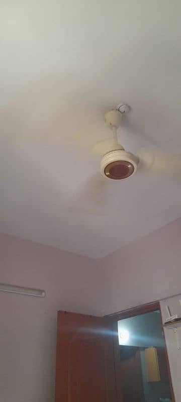 GFC ceiling Fan 0