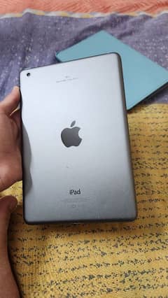 iPad