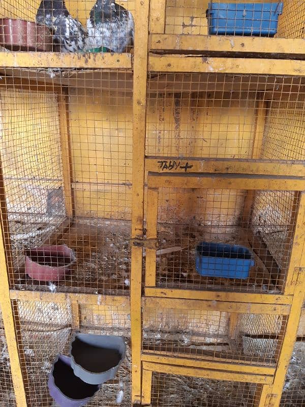 Woden Cage for sale. Township near Chpras Tanki Lahore 2