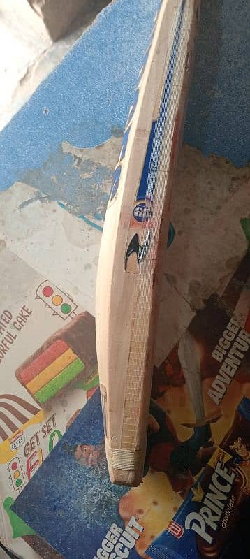 milk sher Amin cricket bat 2