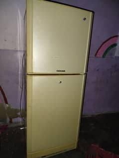 pel fridge model 2022