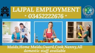 Lajpal  Employment Services* provided staff will be efficient for all