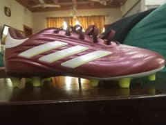 copa pure 2 Pro FG