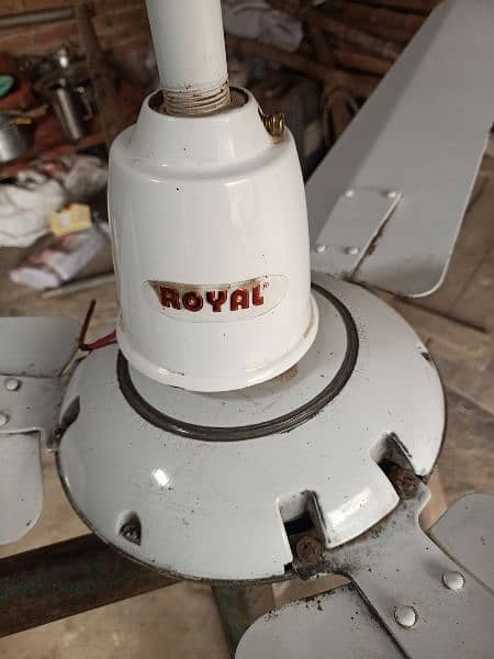 Royal fans with warranty 1