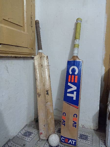 Hardball Bat 1