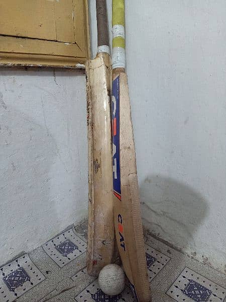 Hardball Bat 2