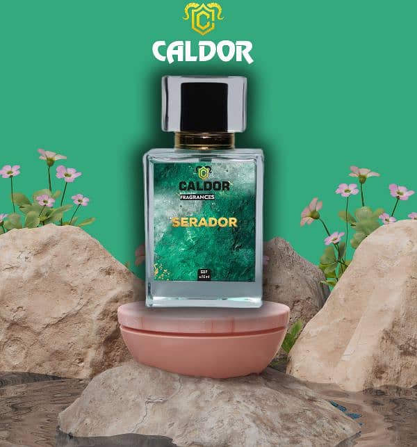 caldor perfume   10 hours lasting 1