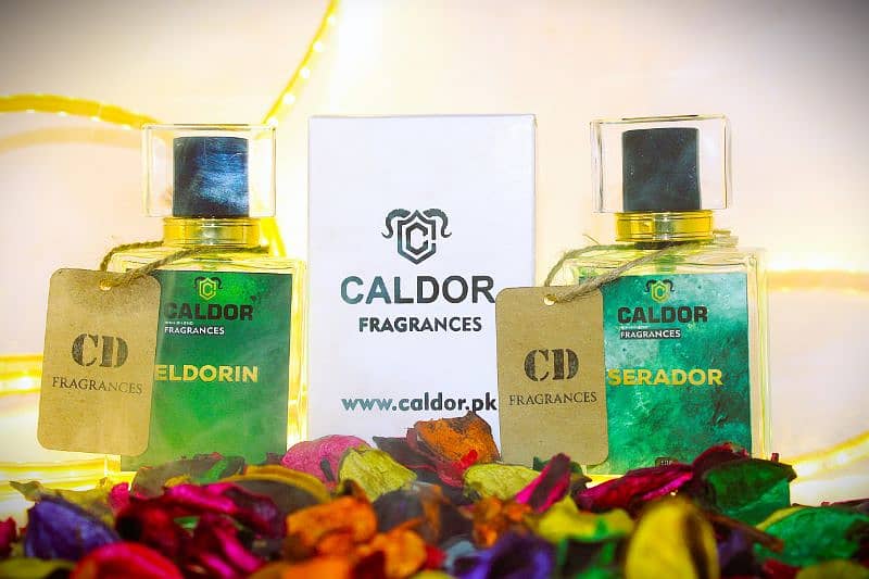 caldor perfume   10 hours lasting 2