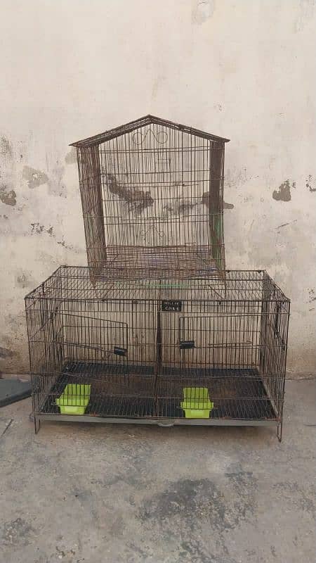 hen cages 4