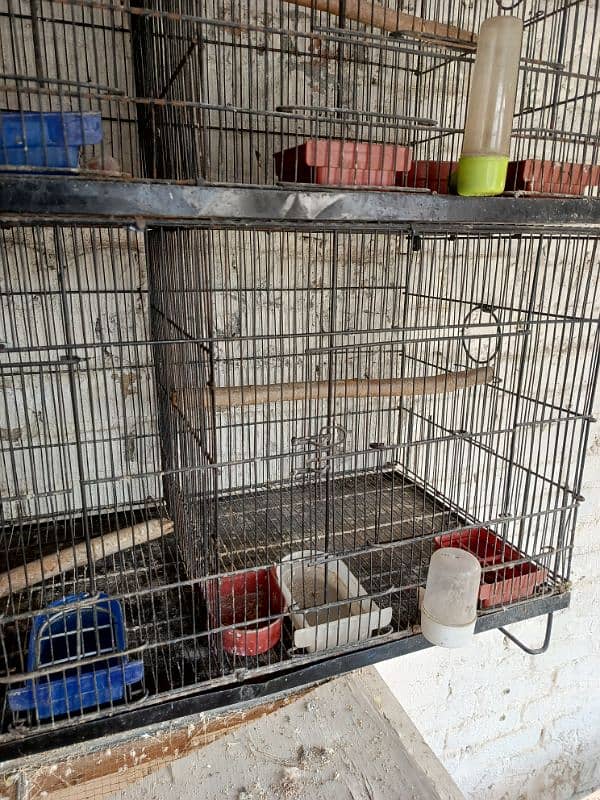 Used cage available 0