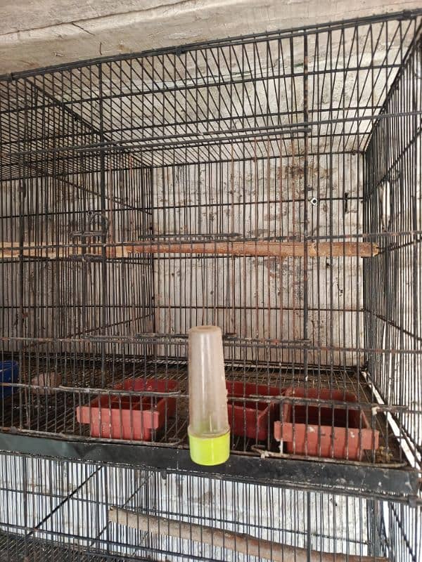 Used cage available 2