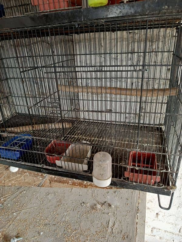 Used cage available 3