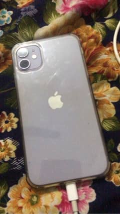 iphone 11 non pta water proof