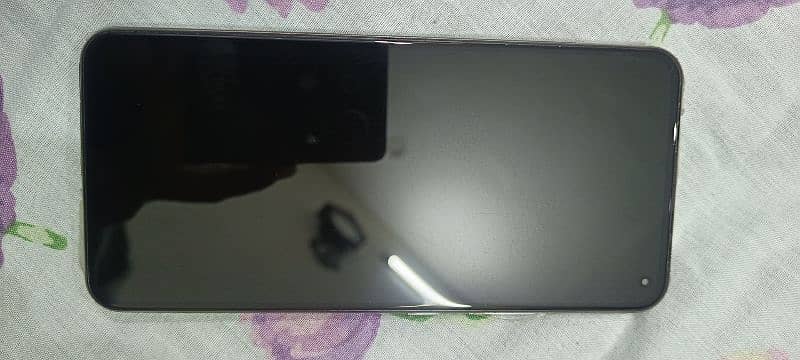 Vivo V17   8/256 2