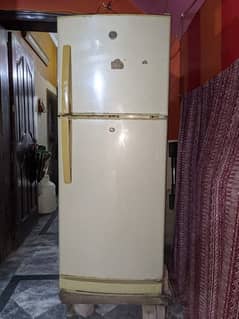 Fridge for SALE in Good Price