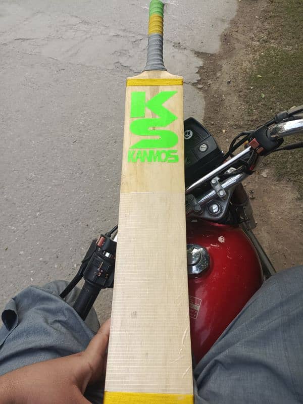 new tape ball bat 1