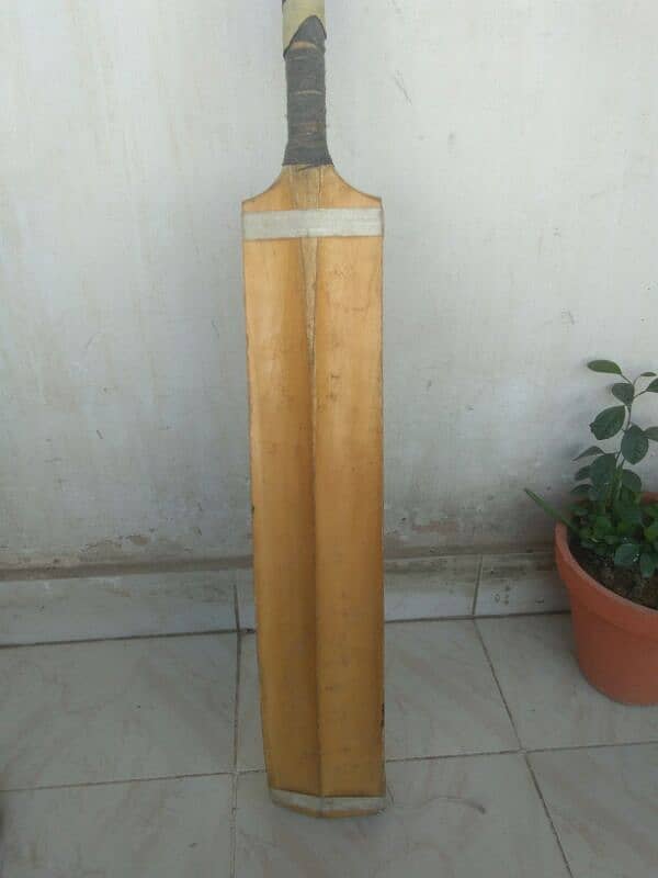 Tape ball bat with huge bottom 1