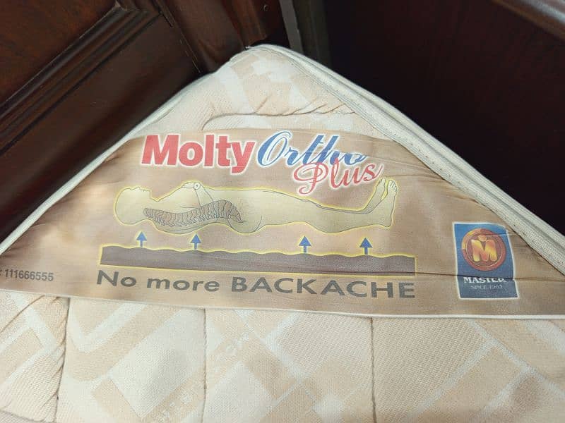 Molty Ortho Plus mattress 1