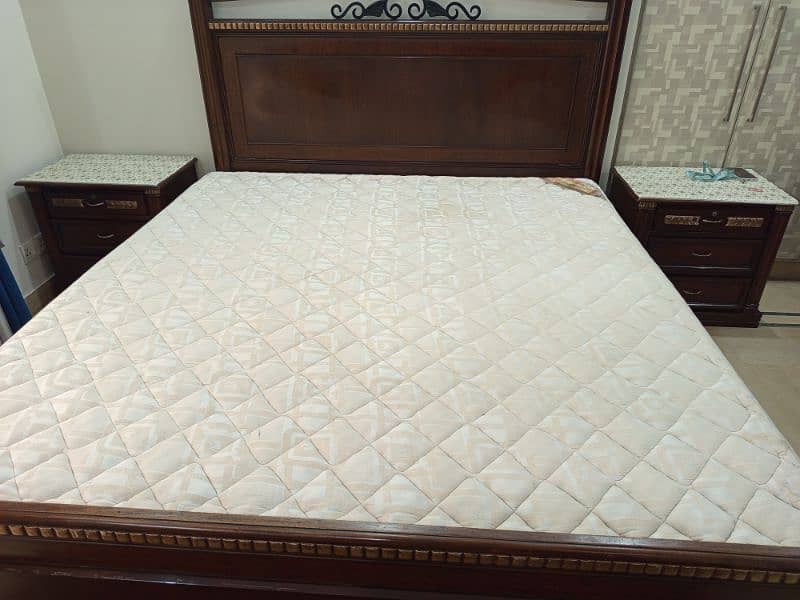 Molty Ortho Plus mattress 2