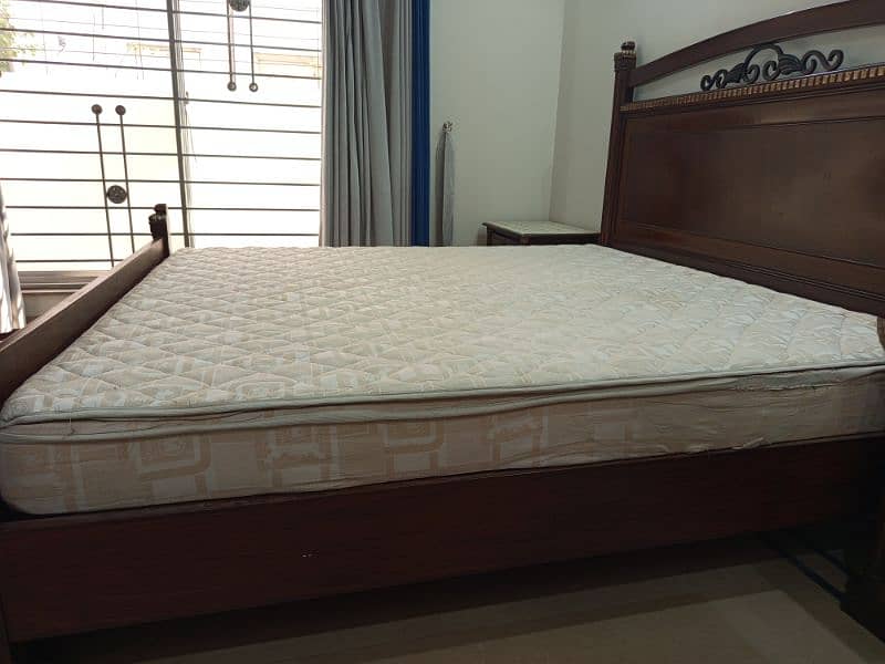 Molty Ortho Plus mattress 3