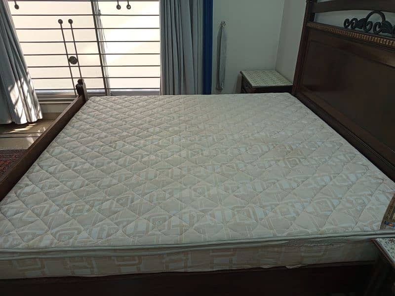 Molty Ortho Plus mattress 4