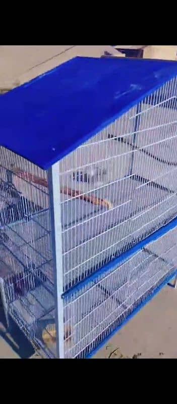 Birds Cage for sale 4